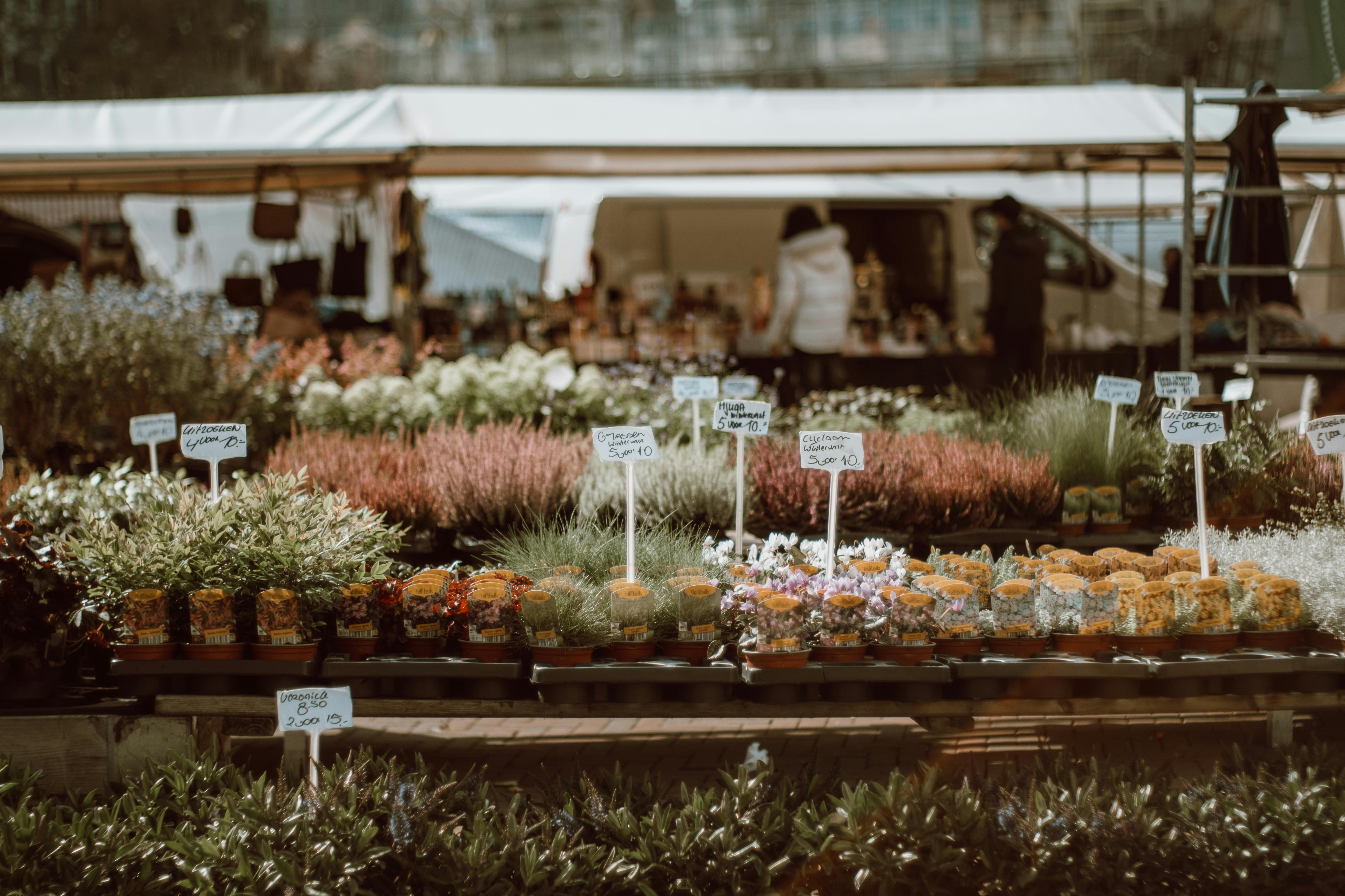 Local Farmers Market